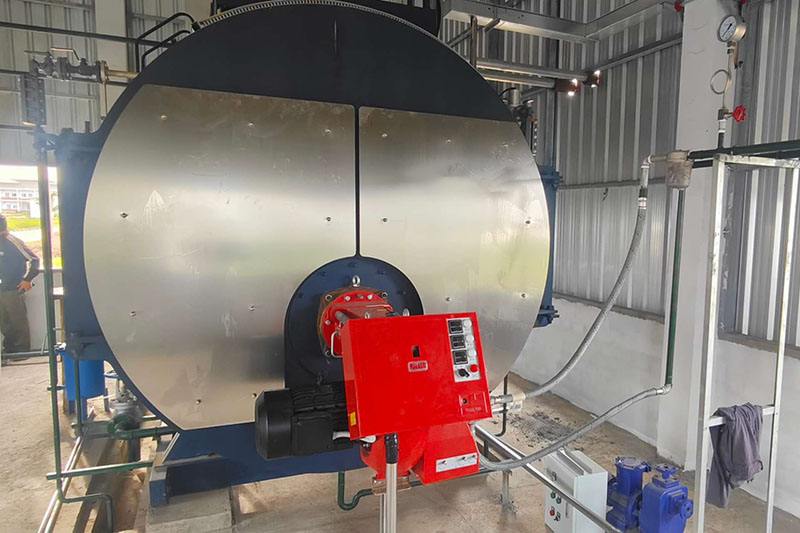 gas steam boiler