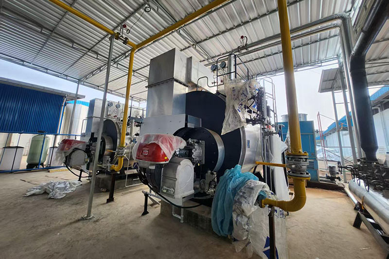 5-ton gas steam boiler