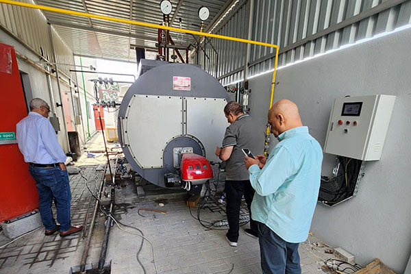 2 Ton Gas Steam Boiler