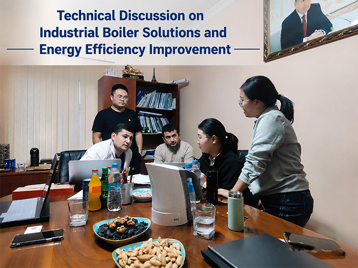 Technical Discussion on Industrial Boiler Solutions and Energy Efficiency Improvement